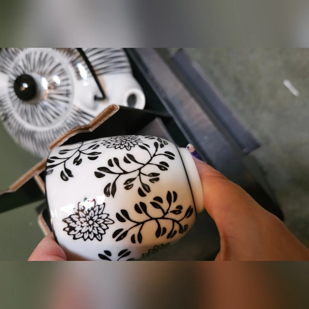 Black and White Tea Set, Pier 1 Imports